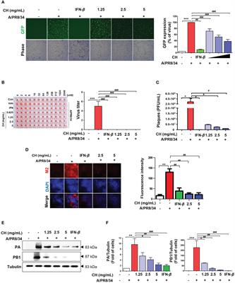 Castanea crenata honey reduces influenza infection by activating the innate immune response